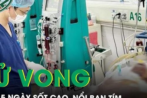 Người đàn ông tử vong vì liên cầu khuẩn lợn sau 5 ngày sốt cao, nổi ban tím