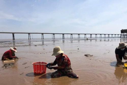'Điểm tựa' của người nghèo ven biển