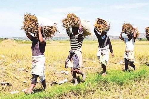 Angola, thị trường tiềm năng cho doanh nghiệp Việt Nam