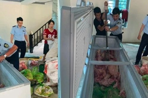 Thanh Hóa triệt phá đường dây tuồn thịt nhiễm tả lợn châu Phi ra thị trường