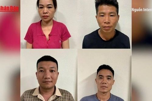 Triệt phá đường dây tuồn thịt nhiễm dịch tả lợn châu Phi tại Thanh Hóa