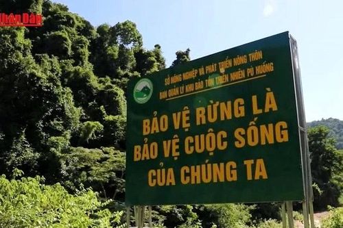 Nghệ An cảnh báo nguy cơ cháy rừng cấp độ cao