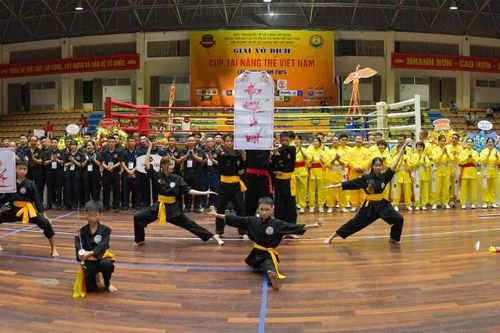 Giải Võ thuật Cúp Tài năng trẻ Việt Nam lần thứ 6 năm 2025