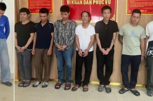 Phá đường dây 'cẩu tặc' quy mô lớn