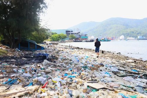 Đà Nẵng: Rác thải 'bủa vây' vịnh Mân Quang