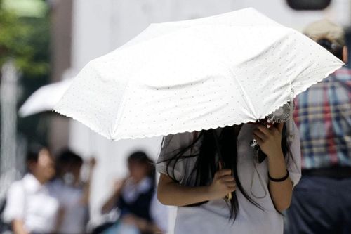 Nhiệt độ kỷ lục thiêu đốt châu Á: Nhật Bản, Việt Nam chìm trong nắng nóng lịch sử