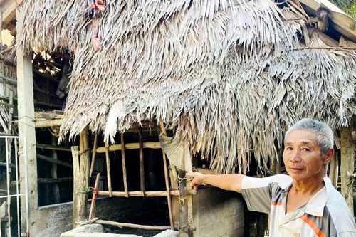 Dịch tả lợn châu Phi chưa ngừng, lại thêm dịch bệnh mới trên gia súc ở Quảng Trị