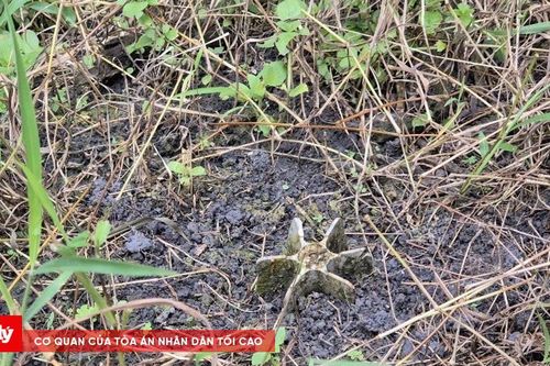 Phát hiện quả đạn cối nằm im nửa thế kỷ trong vườn