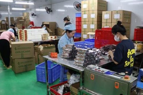 Khởi tố 2 đối tượng sản xuất, buôn bán thực phẩm chức năng giả quy mô lớn tại Quảng Ninh