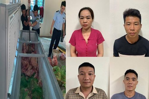 Tạm giữ hình sự 4 đối tượng giết mổ, tiêu thụ hàng tấn thịt mắc dịch tả lợn châu Phi