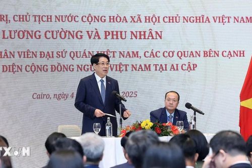 Ấm áp cuộc gặp cộng đồng người Việt Nam tại Ai Cập của Chủ tịch nước