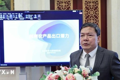 Thúc đẩy giao thương giữa các doanh nghiệp thương mại nông sản Việt-Trung