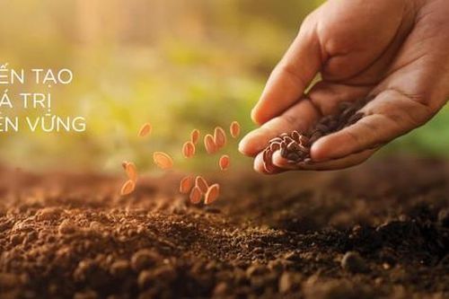 Giải Báo cáo phát triển bền vững 2025 hướng tới tương lai xanh và minh bạch