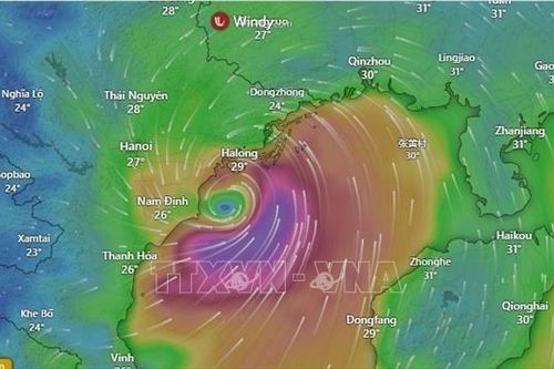Từ nay đến tháng 10/2025, dự kiến có 6 - 8 cơn bão, áp thấp nhiệt đới trên Biển Đông