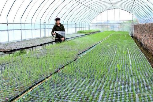 Cần có 'sân chơi' cho sản phẩm hữu cơ trên thị trường