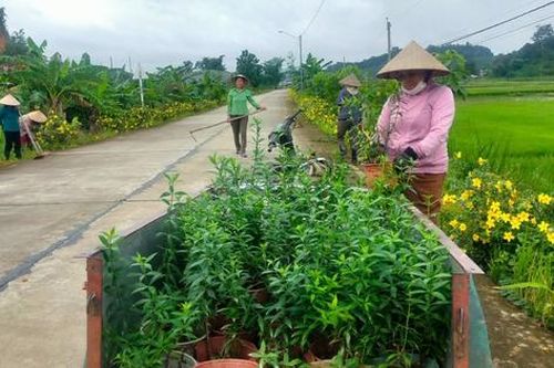 Phụ nữ Đạ Tẻh 2 tích cực làm đẹp cảnh quan nông thôn