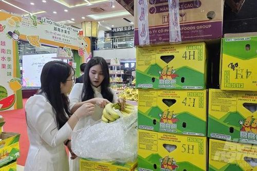 Trái cây, nông sản Việt Nam sắp 'đổ bộ' thị trường Trung Quốc