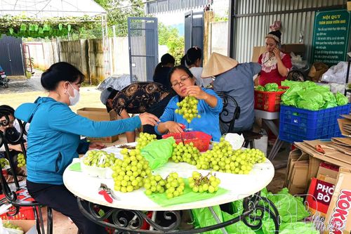 Mở hướng tiêu thụ nông sản địa phương
