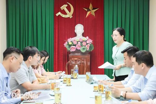 Đồng Nai sẽ bắn pháo hoa kỷ niệm 80 năm Cách mạng Tháng Tám và Quốc khánh 2-9