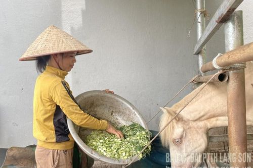 'Đòn bẩy' để Thống Nhất vươn lên