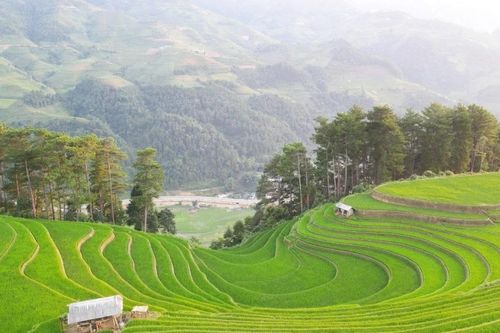 Xã Mù Cang Chải: Khát vọng trở thành biểu tượng du lịch Tây Bắc