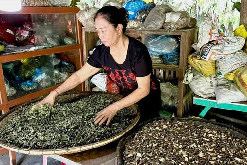 Lào Cai tăng cường quản lý y, dược cổ truyền