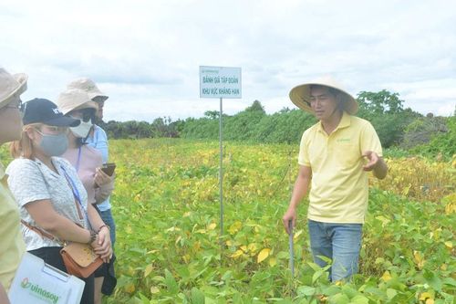 Nông nghiệp tích hợp bảo vệ môi trường