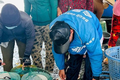 Ngư dân Lâm Đồng tấp nập đón 'lộc biển' mùa gió Nam