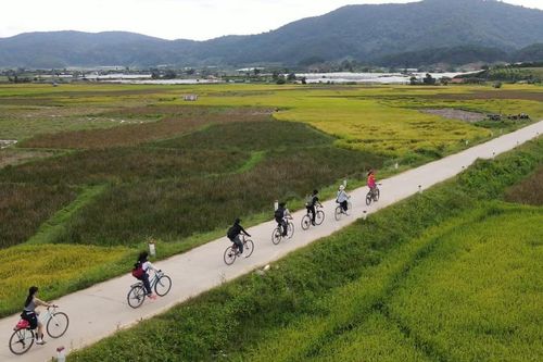 Xây dựng thương hiệu du lịch từ bản sắc địa phương