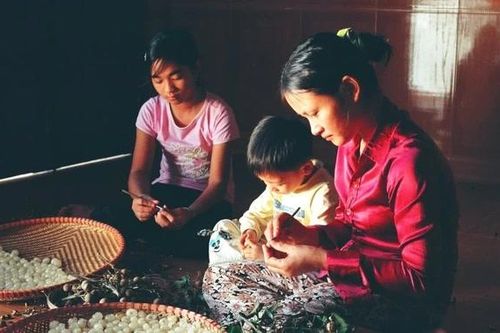 Hưng Yên - xứ nhãn