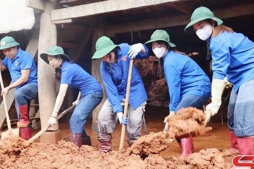 Góp sức trẻ giúp bà con vùng lũ