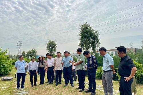 Đoàn Đại biểu Quốc hội khảo sát bảo vệ môi trường tại KCN Nam Cầu Kiền