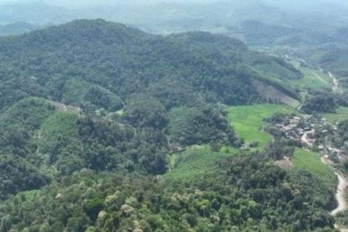 Nghệ An: Phát huy hiệu quả chính sách chi trả dịch vụ môi trường rừng