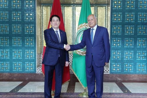 Việt Nam sẵn sàng làm cầu nối gắn kết Liên đoàn Arab và ASEAN