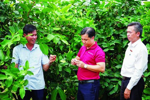 Tín dụng xanh - đòn bẩy cho chuyển đổi sản xuất