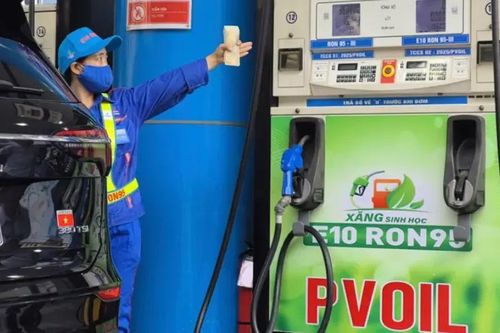 Xăng E10 khởi bán thí điểm tại 3 thành phố lớn