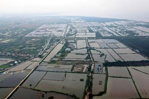 Hải Phòng chấp thuận chủ trương đầu tư 2 dự án khu công nghiệp quy mô lớn