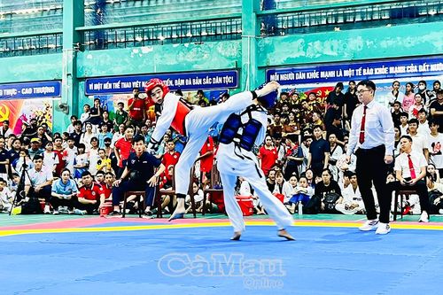 Gần 500 võ sinh tranh tài Giải Taekwondo các Câu lạc bộ tỉnh Cà Mau năm 2025