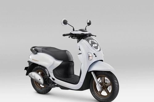 Honda Scoopy 2025 mở bán chính hãng và lắp ráp tại Việt Nam?