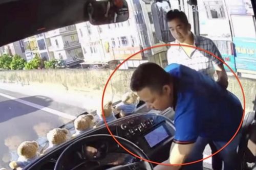 Tài xế giật chìa khóa ô tô khách, mặc hành khách phơi nắng có thể bị khởi tố?