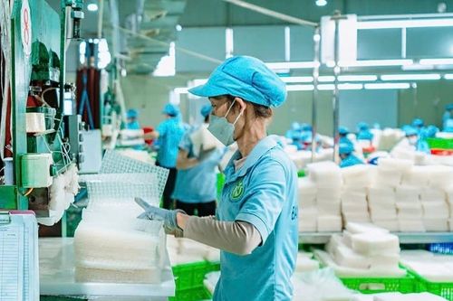 OCOP tiếp sức Tây Ninh bảo tồn và phát huy tinh hoa nghề truyền thống