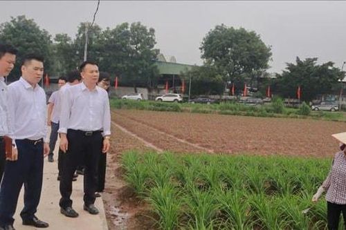 Đại hội đại biểu Đảng bộ xã Hát Môn lần thứ nhất, nhiệm kỳ 2025-2030: Khơi dậy khát vọng, kiến tạo tương lai