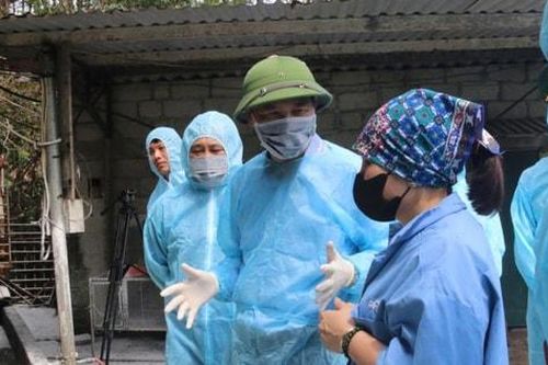Thành lập 10 đoàn công tác hỗ trợ địa phương trong vận hành chính quyền địa phương hai cấp về lĩnh vực nông nghiệp và môi trường