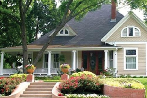 Trồng cây to trước nhà lo ảnh hưởng tiêu cực đến phong thủy, đừng lo, hãy đọc cách hóa giải sau