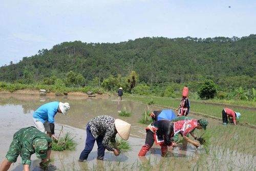 Ngày mới ở Hoành Mô
