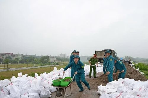 Diễn tập phòng, chống thiên tai trên địa bàn phường Sơn Tây