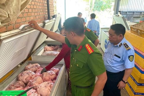 Gia Lai tiêu hủy hơn 4 tấn thịt heo không rõ nguồn gốc