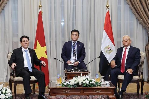 Chủ tịch nước Lương Cường hội kiến Chủ tịch Hạ viện, Thượng Viện Ai Cập