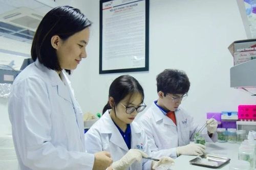 Xây dựng nhân lực ngành công nghệ mũi nhọn