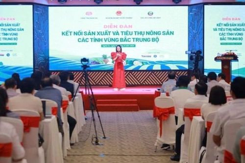 Kết nối sản xuất và tiêu thụ nông sản các tỉnh vùng Bắc Trung Bộ